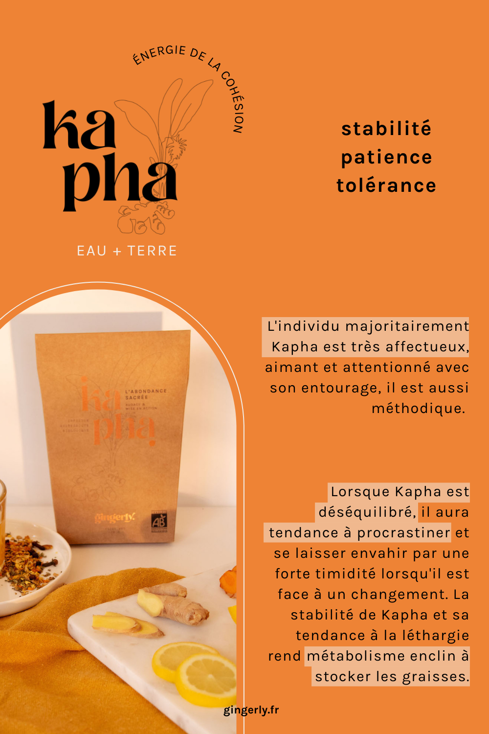 Découvrir le profil Kapha ! GINGERLY