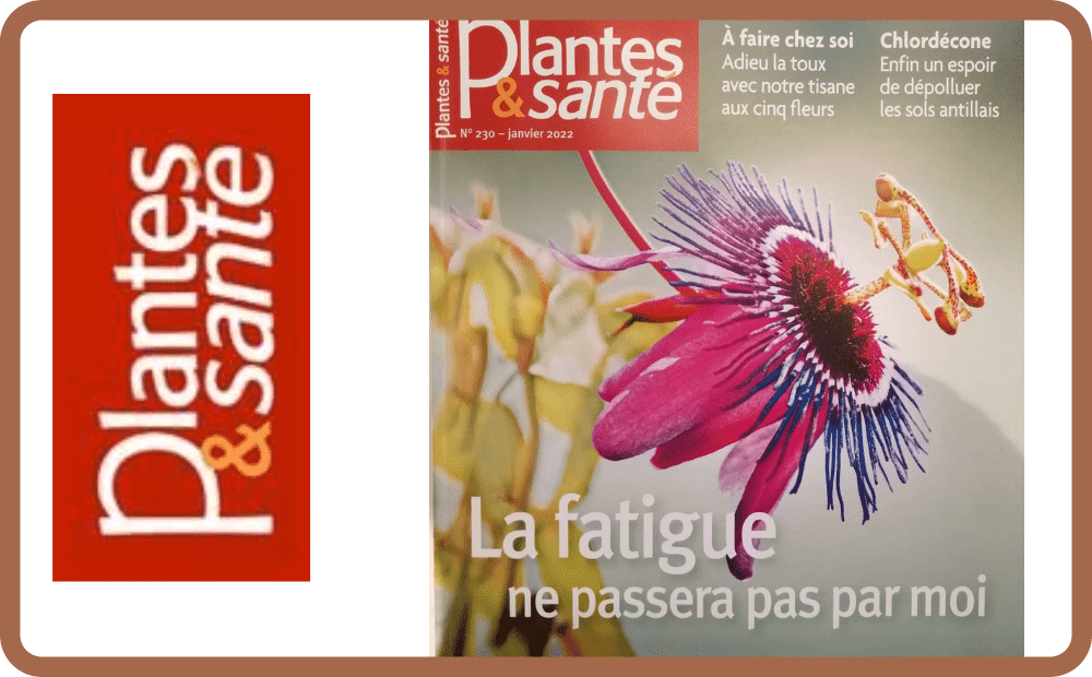 Plantes&Santé Magazine reconnait les produits Gingerly