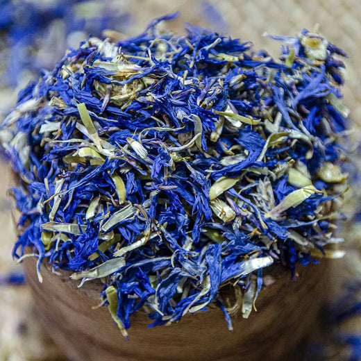 Pétales de bleuet bleu