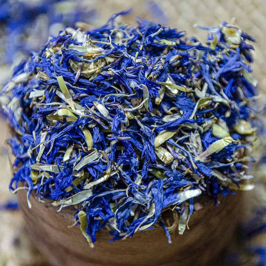 Pétales de bleuet bleu